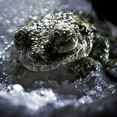 efb73ab86ce77ab10e63d1ab5480de04