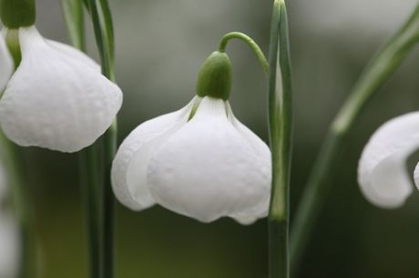 0dfe6ad3bde50e85005b72dff9ddd728