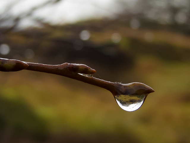 8283360835_e6a49ee4f7_z