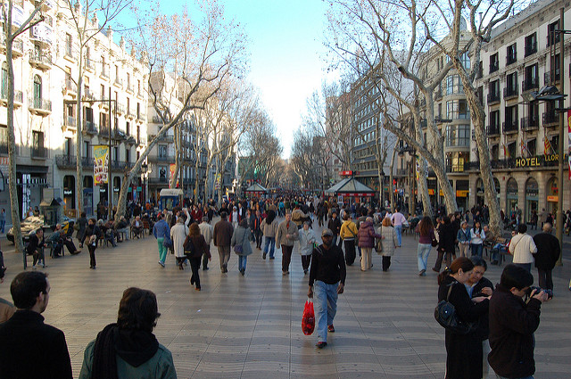 391745567_ae7d3894f0_z